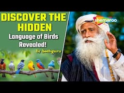 Discover The Hidden Language Of Birds Revealed! By Sadhguru | Sadhguru On Birds