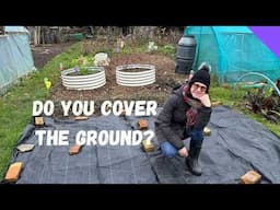 Should I Use Mulch OR Ground Cover - Allotment Beginners UK