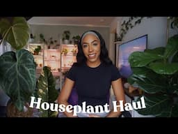 Houseplant HAUL | I Got New Plants 🌱 Home Depot & Briggs Nursery