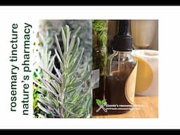 ROSEMARY TINCTURE NATURE'S ANTIBIOTIC GIFT VEGAN  | Connie's RAWsome kitchen