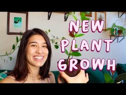 Top 5 Plants In My Collection With NEW Growth | HOUSEPLANT SPOTLIGHT 🏆