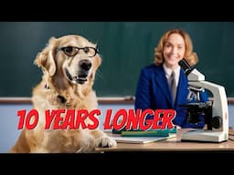 The Science of Making Your Pet Live Longer